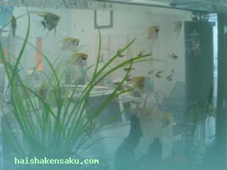 あいファミリー歯科