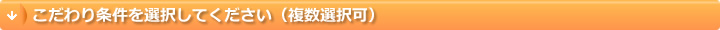 こだわり条件を選択してください（複数選択可）